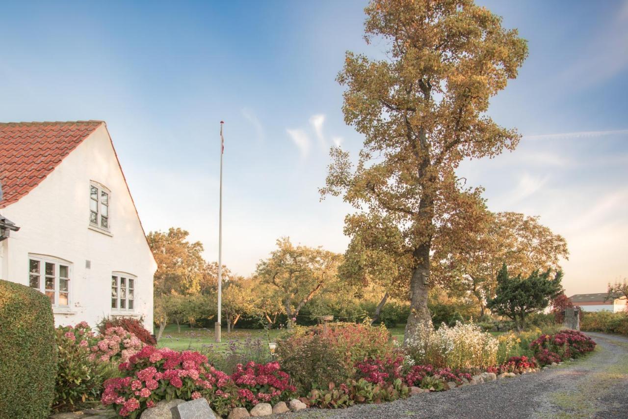 Sjaelegard Countryside Lodge アリンエ エクステリア 写真
