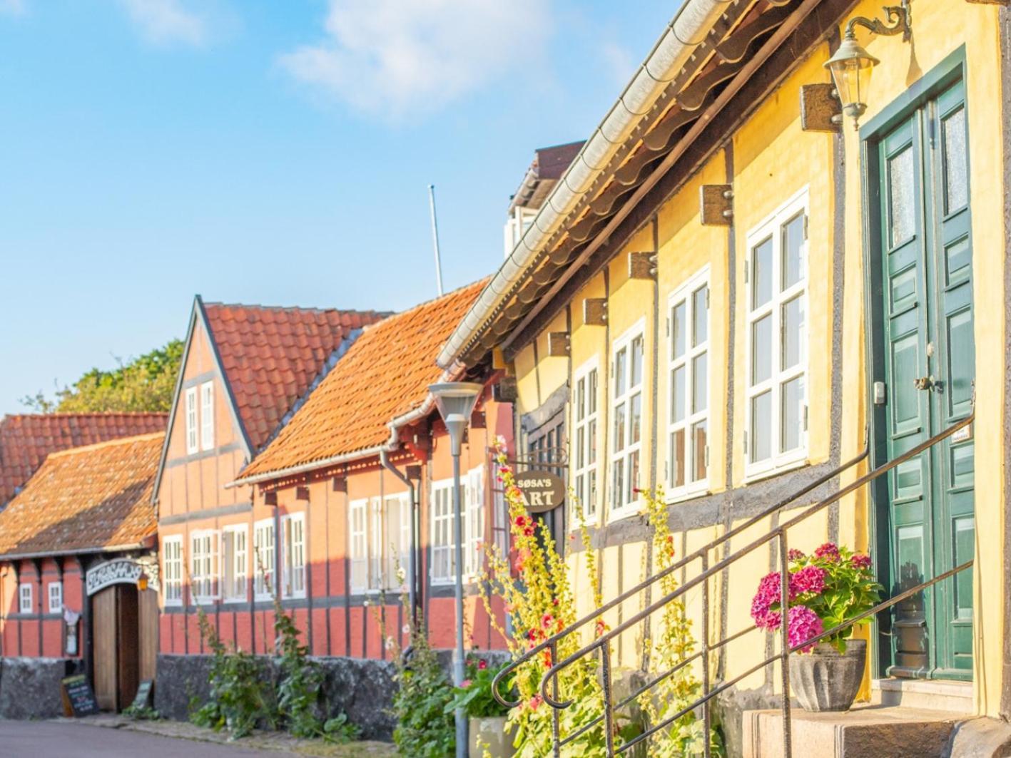 Sjaelegard Countryside Lodge アリンエ エクステリア 写真