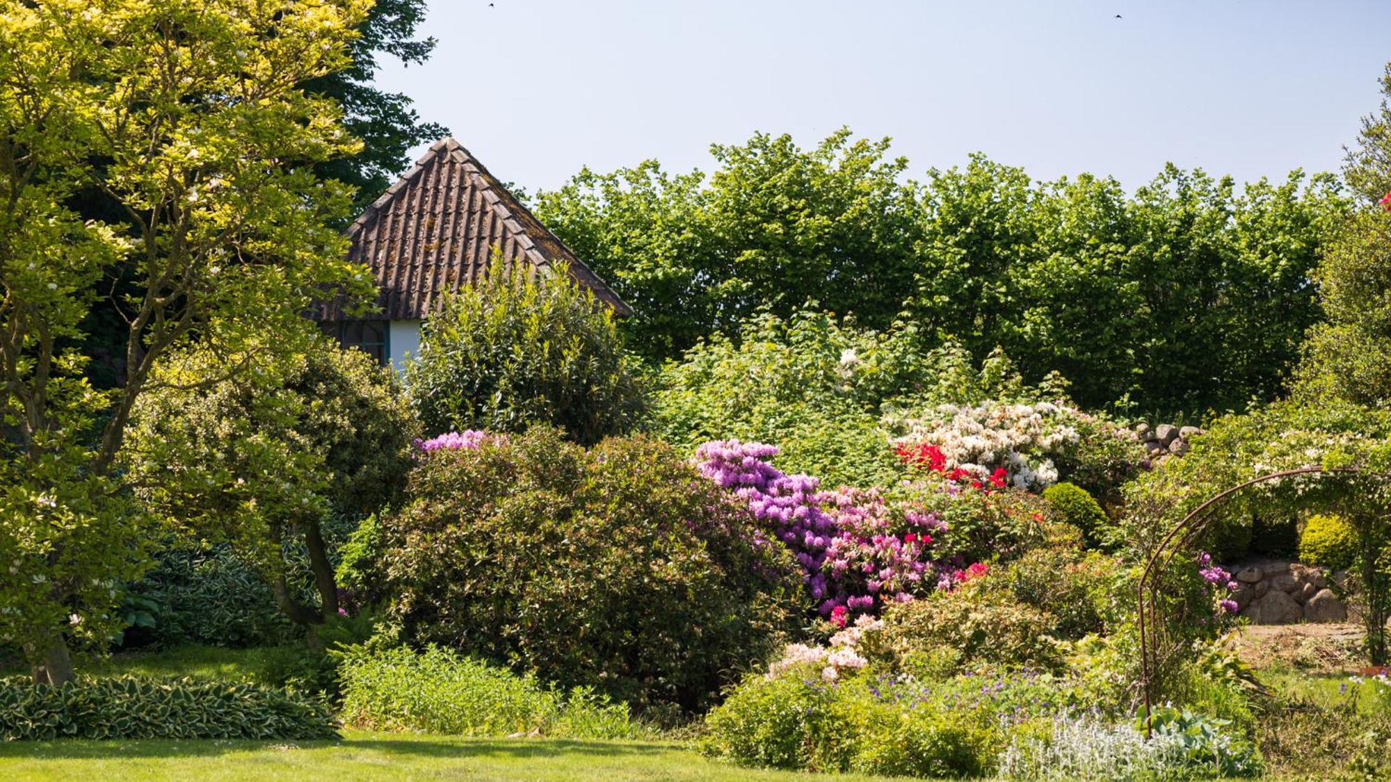 Sjaelegard Countryside Lodge アリンエ エクステリア 写真