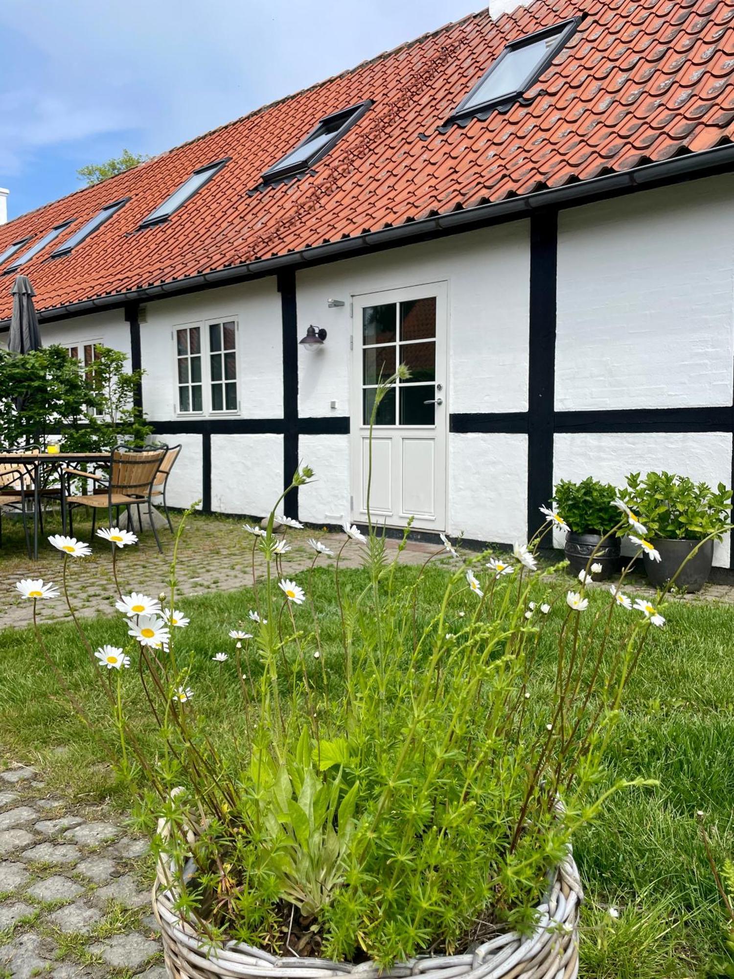 Sjaelegard Countryside Lodge アリンエ エクステリア 写真